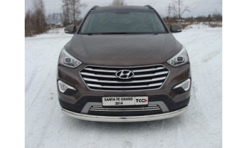 Защита передняя нижняя (овальная) 75х42 мм код HYUNSFGR14-01 на Hyundai Santa Fe Grand (2013-2016) 