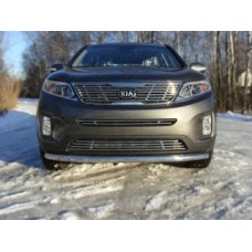 Защита передняя нижняя 60,3 мм код KIASOR12-13