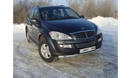 Защита передняя нижняя (овальная) 75х42 мм код SSANKYR2-01 на Ssang Yong Kyron (2007-) 
